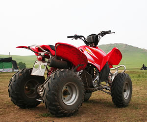 Quad Biking Birthday Parties