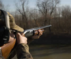 Clay Pigeon Shooting Green Ore, Somerset